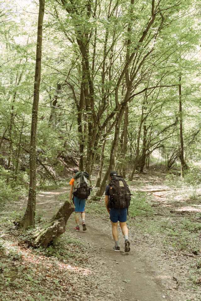 Cesta s Gavrillontra